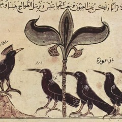 birds - niobe poitier