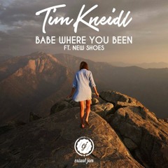 Tim Kneidl Ft. NEWSHOES - Babe Where You Been (Roman Müller Remix)