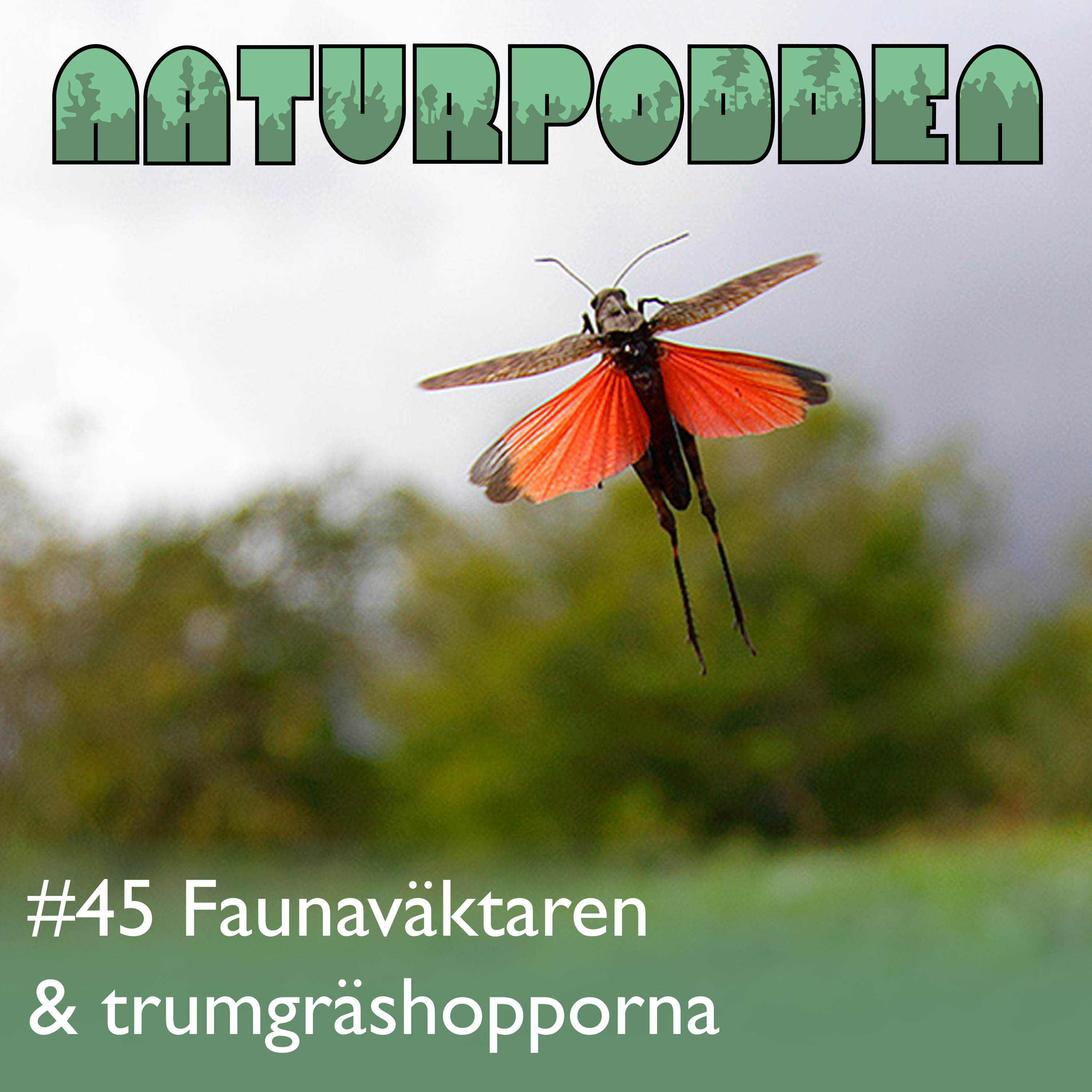 Naturpodden - Producerad av Biotopia