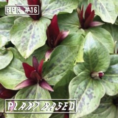 BPR #16 ≈ Plant Based ≈ Guest Mix by GHS (DE)