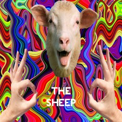 The Sheep