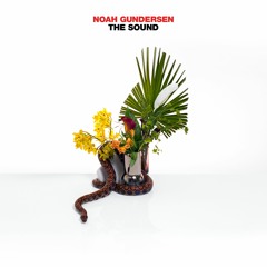 Noah Gundersen - The Sound