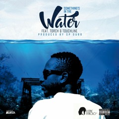 Something's In The Water