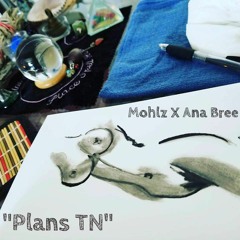 Mohlz X AnaBree - Plans TN