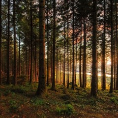 Between Ourselves - Fhómhair Mix (2017)