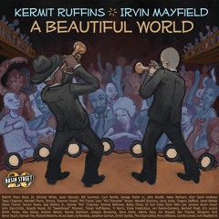 Beautiful World [for Imani] (feat. Haley Reinhart)