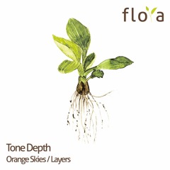 Tone Depth - Layers (Original Mix)