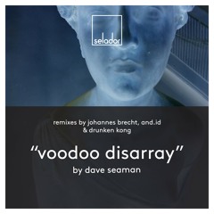PREMIERE: Dave Seaman - Voodoo Disarray (Johannes Brecht Remix) [SELADOR]
