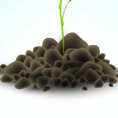 ZhashkiBLSoilDirt