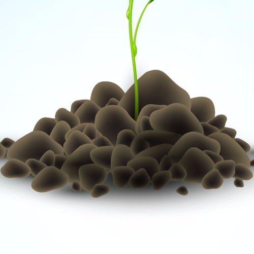 ZhashkiBLSoilDirt