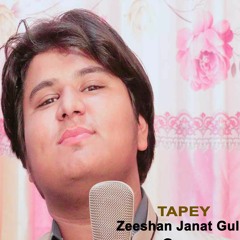Sad Tapey - Zeeshan Janat Gul || Pashto New Songs 2017