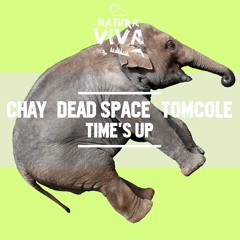 Chay & Dead Space, TomCole - Be In Time (Sample)