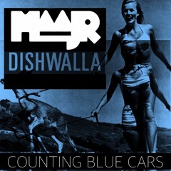 DISHWALLA - COUNTING BLUE CARS (COVER)