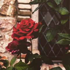 Came Here For Love - Ella Eyre (Cover)