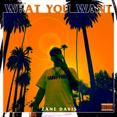 What You Want