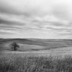 Run It Ft. Gunner Jules & DruStuff