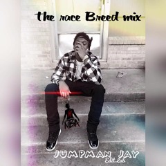 Jumpman Jay Race BreedMix