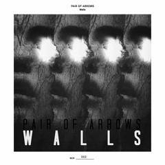 Pair Of Arrows - Walls