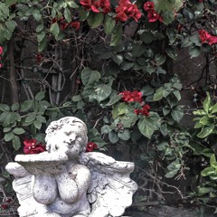 Blah Blah Pt 2 (prod. by no luck)