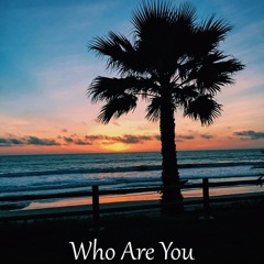 Who Are You (feat. Peter Hanaman)
