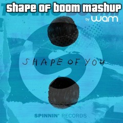 Ed Sheeran X Tiesto & Sevenn - Shape Of Boom (DJ WAM MashUp) - Free DL