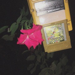I Got Lost In Johto (Prod. Horuhe)