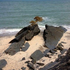 Fringer (Microsoft Entertainment Pack: Puzzle Collection)