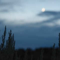 Sky Miner (Instrumental)