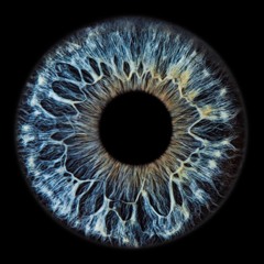 Part 2 (Labyrinthine)