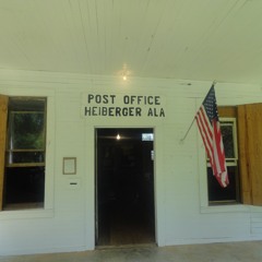 Peach Pickin' Time in Georgia