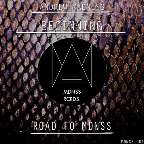 Andrew Madness - Beginning