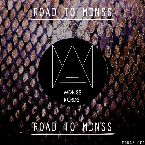 ROAD TO MDNSS