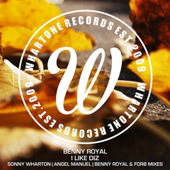 Benny Royal - I Like Diz (Angel Manuel Remix)