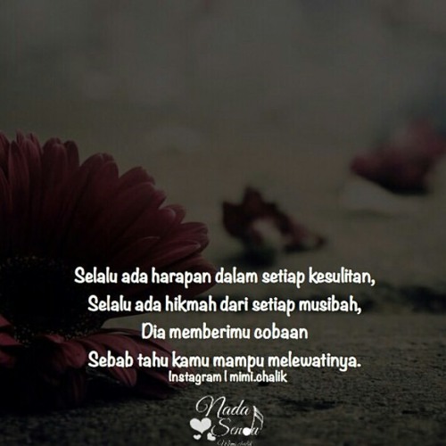 Biar Aku Yang Pergi Aldi Rumi Books