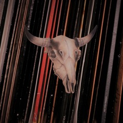 Cheshire Podcast 9 // Mainz 2017