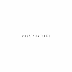 What U Need (feat. LMC & Wayvee)