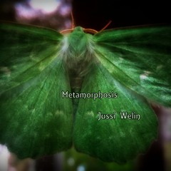 Metamorphosis