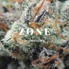 Z O N E (prod. by Point5ive)