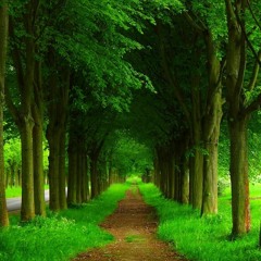 Mandragora & Devochka - Aladin (Original Mix)