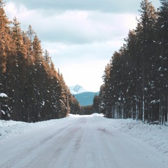 Winterya │Progressive
