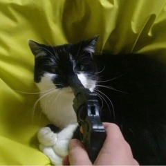 7PM (とびだせ どうぶつの森 Cover)