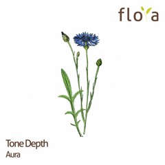 Tone Depth - Aura (Original Mix) / Snippet