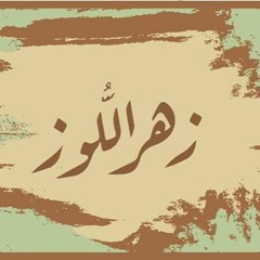 Will You Come Dream l تيجي نحلم