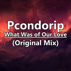 What Was of Our Love (Original Mix)