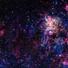 Dreaming - jordan x ysl.jimmy