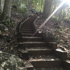 Marco Paez - Into The Garden Mix (September 2017)