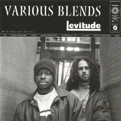 Various Blends - To The Gut (1999)