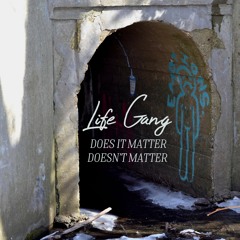 I did this / Solid Gold Rube Goldberg Machine