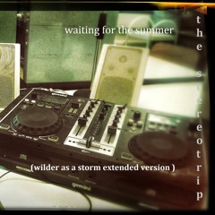 Wainting for the  Summer(wilder as a storm extended version)