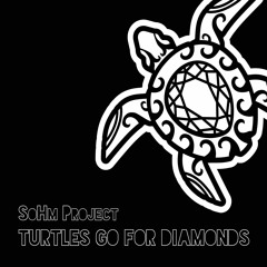 05 Turtles Go For Diamonds
